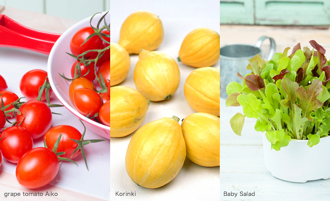 grape tomato Aiko, Korinki and Baby Salad mixed