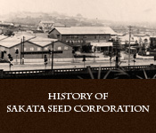 History of SAKATA SEED.