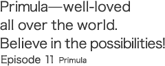 Primula—well-loved all over the world. Believe in the possibilities! Episode 10 Primula