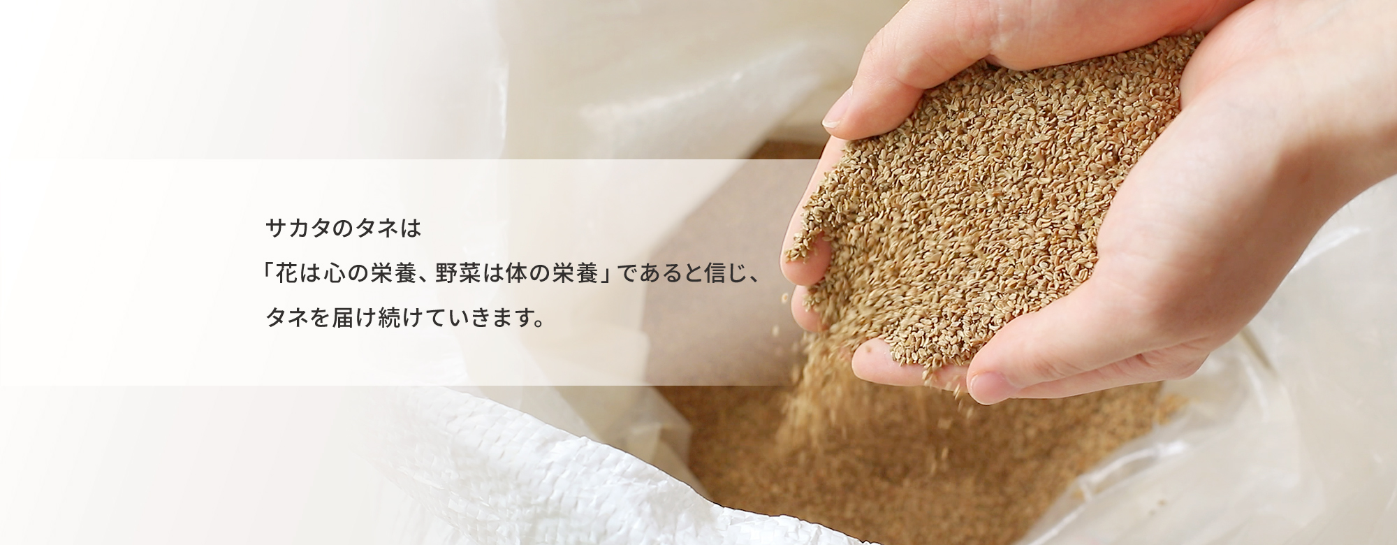 サカタのタネは「花は心の栄養、野菜は体の栄養」であると信じ、タネを届け続けています。