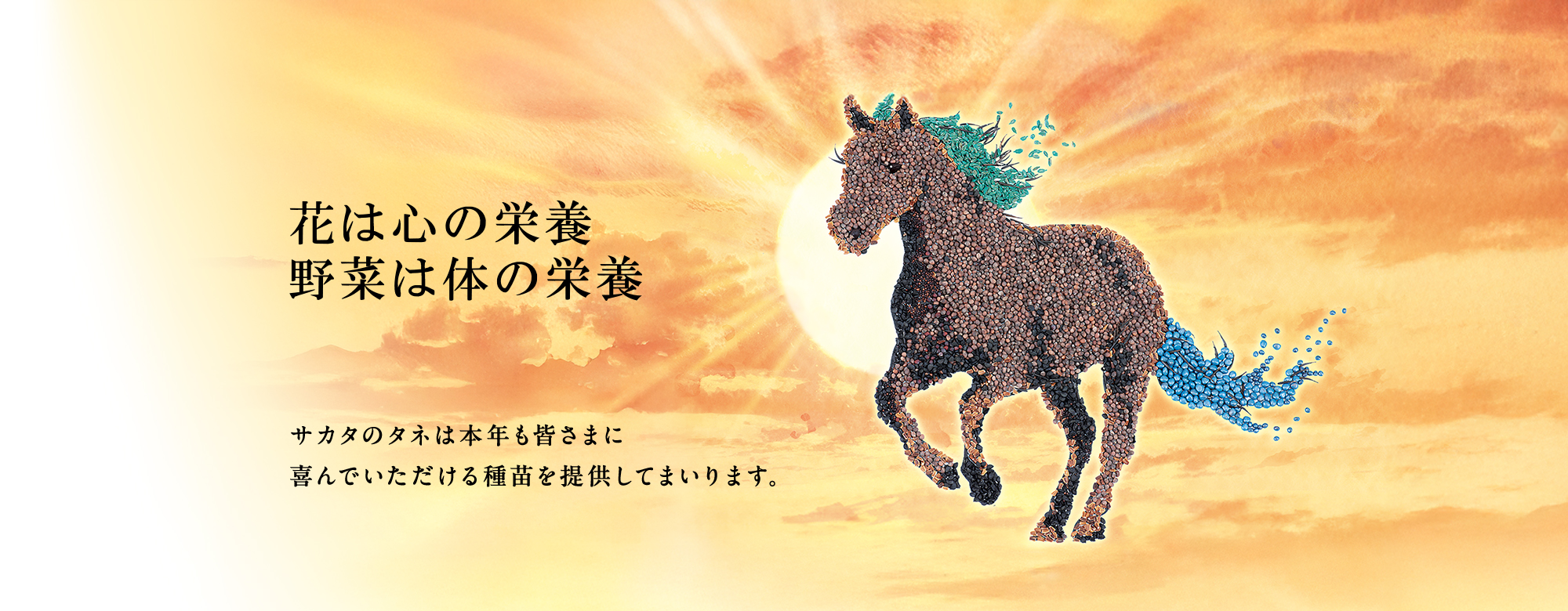 花は心の栄養、野菜は体の栄養　サカタのタネは本年も皆さまに喜んでいただける種苗を提供してまいります。
