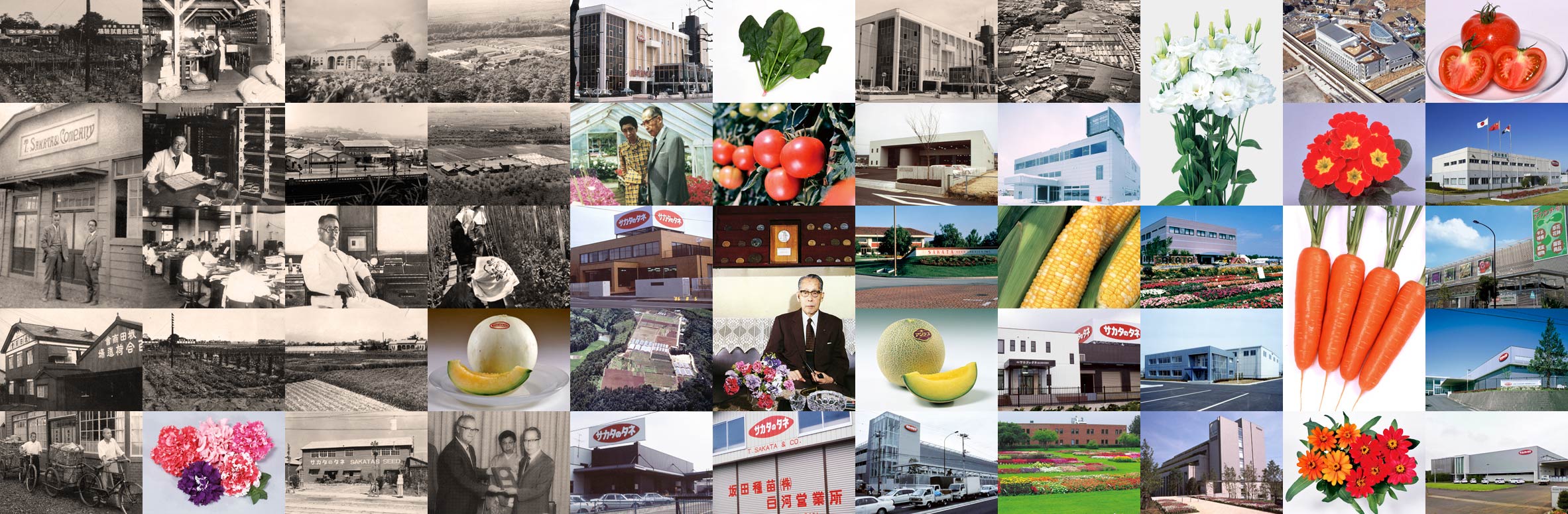 Sakata Seed Corporation 100th Anniversary Special Website (Archive)