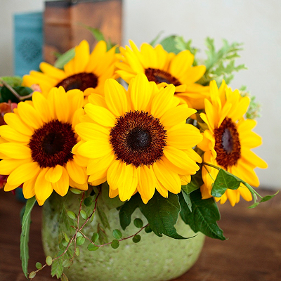 ヒマワリ「ビンセント」のイメージ