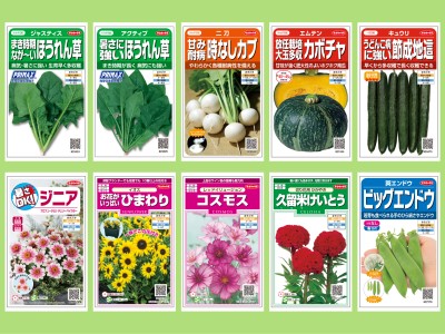 絵袋種子「実咲（みさき）」シリーズ・2020年春の新商品発売