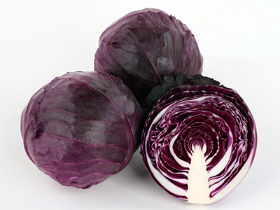 発色のよい紫キャベツ『レッドブライト』の種子発売