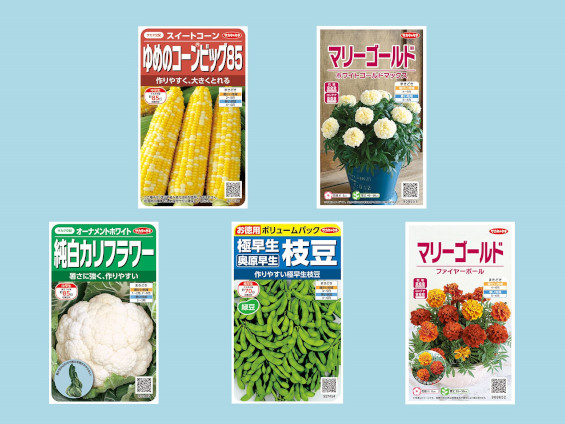 絵袋種子「実咲」シリーズ・2024年春の新商品5点を発売