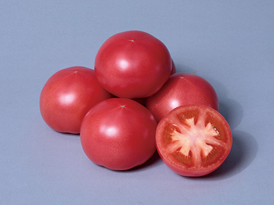 促成・夏秋栽培で秀品率が高く、食味のよい大玉トマト『れおん』の種子発売