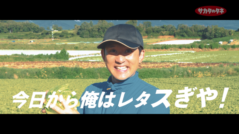 サカタのタネ×元プロ野球選手・杉谷拳士氏とのレタスコラボ動画を公開