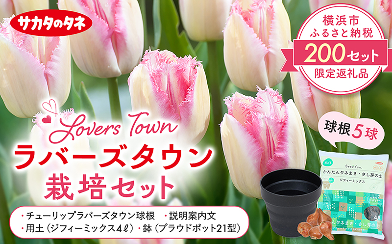 ラバーズタウン栽培セット