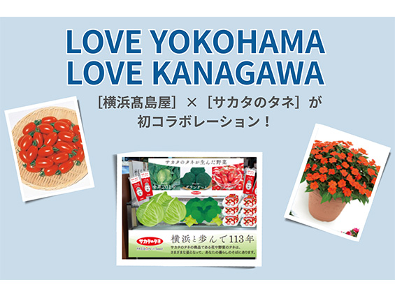 サカタのタネと横浜髙島屋、地元企業が初コラボレーション