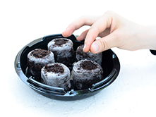 タネまきワークショップ