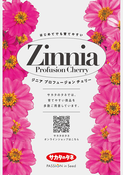サカタのタネオリジナル絵袋　ジニア「プロフュージョン チェリー」