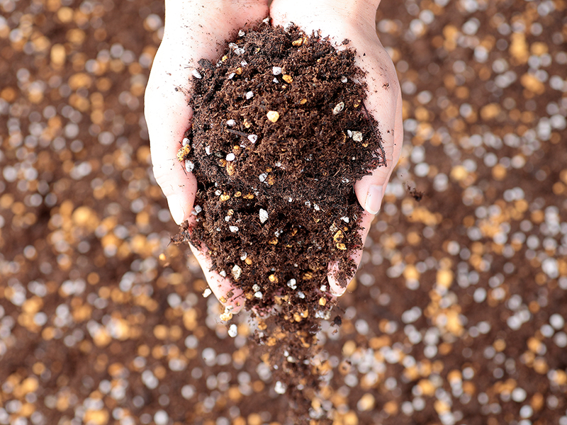 花と野菜の培養土W-SOIL-305