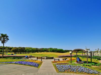 神奈川県立辻堂海浜公園　画像