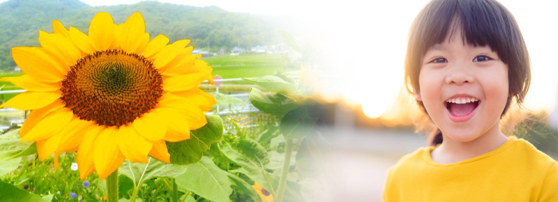 日本中が花の力で元気になりますようにそれがサカタのタネの願いですのイメージ画像（ひまわりと女の子の画像）